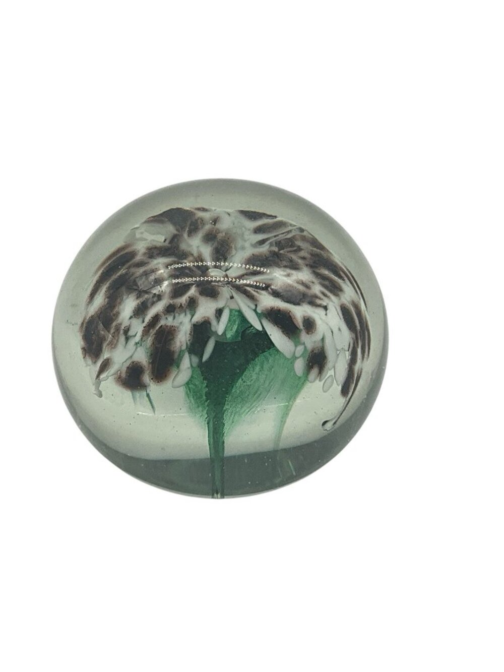 Hand Blown Glass Paperweight by The Glass Eye 1985 Etched Signed Floral Interior